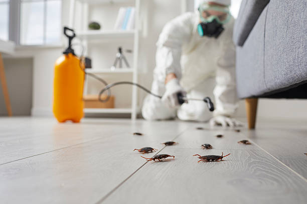 Commercial Kitchen Cockroach Control in Athena